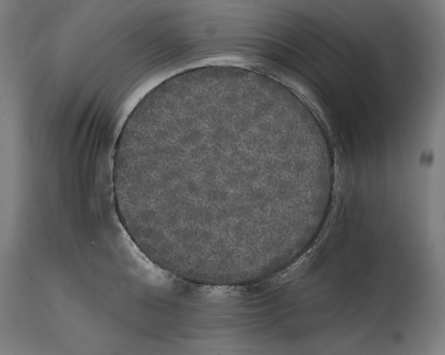 X0000114390808200911131341