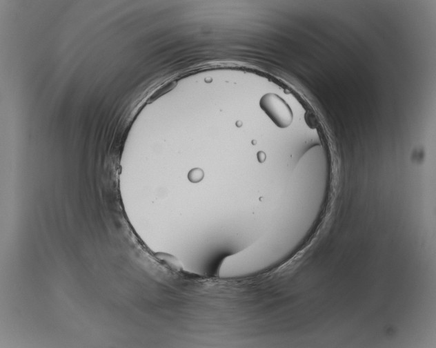 X0000114390809200911131341