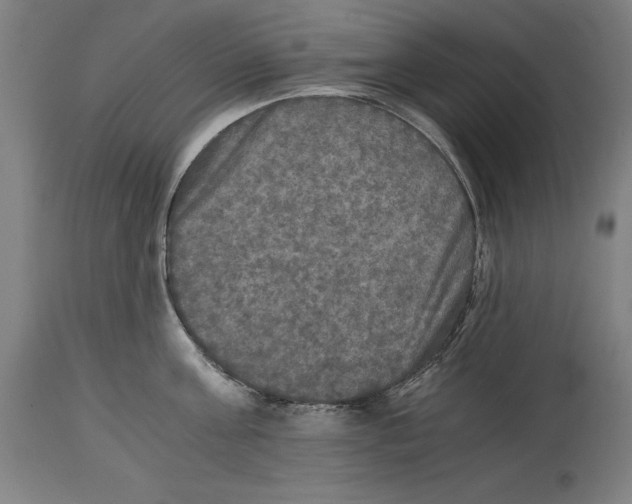 X0000114390811200911131341