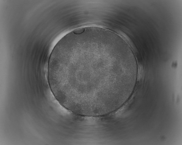 X0000114390812200911131341