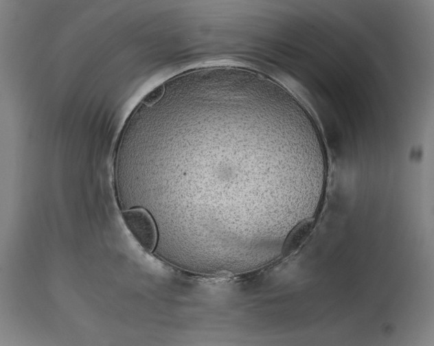 X0000114390813200911131341