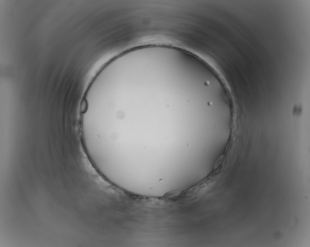 X0000114390815200911131341