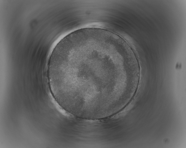 X0000114390816200911131341