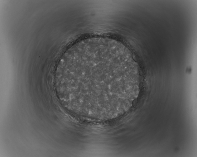 X0000114390817200911131340