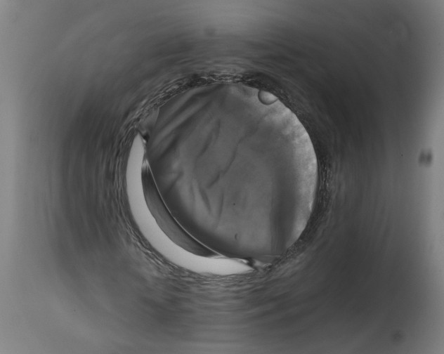 X0000114390818200911131340