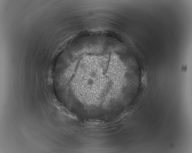 X0000114390819200911131340