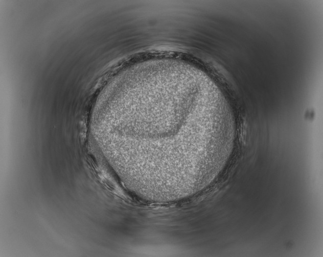 X0000114390821200911131340