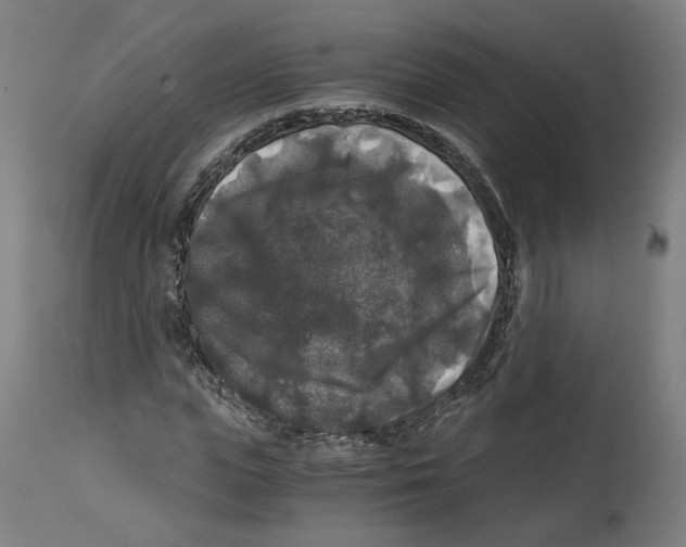 X0000114390823200911131340