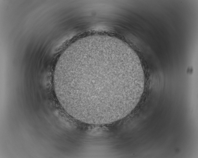 X0000114390824200911131340