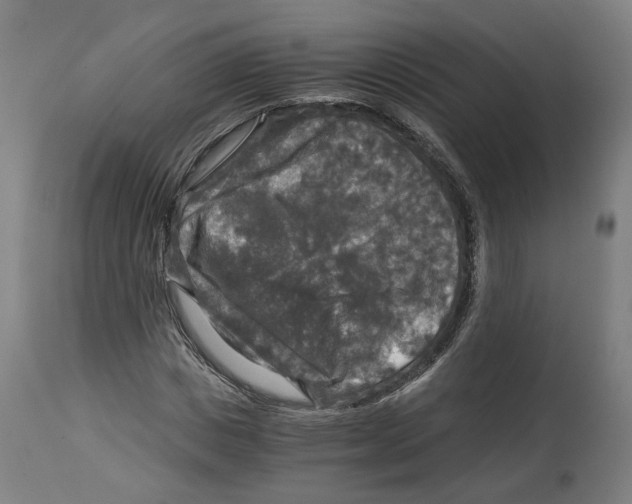 X0000114390825200911131340