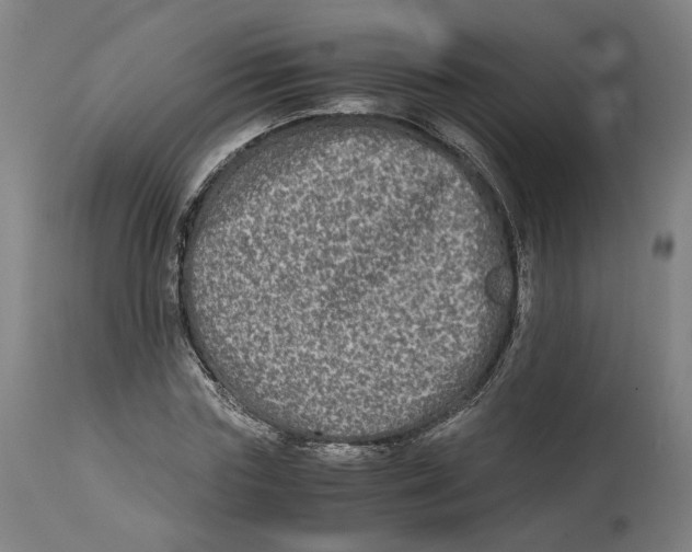 X0000114390827200911131340