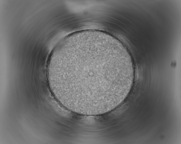 X0000114390828200911131340