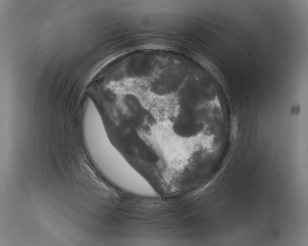 X0000114390829200911131340