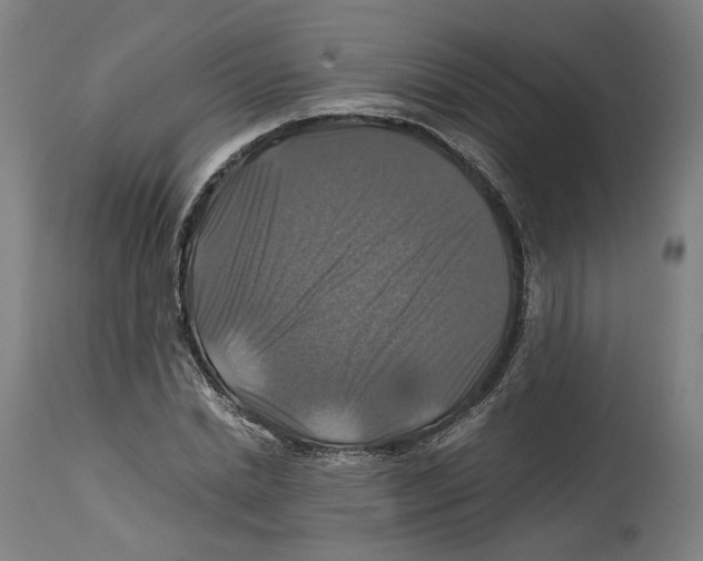 X0000114390830200911131341