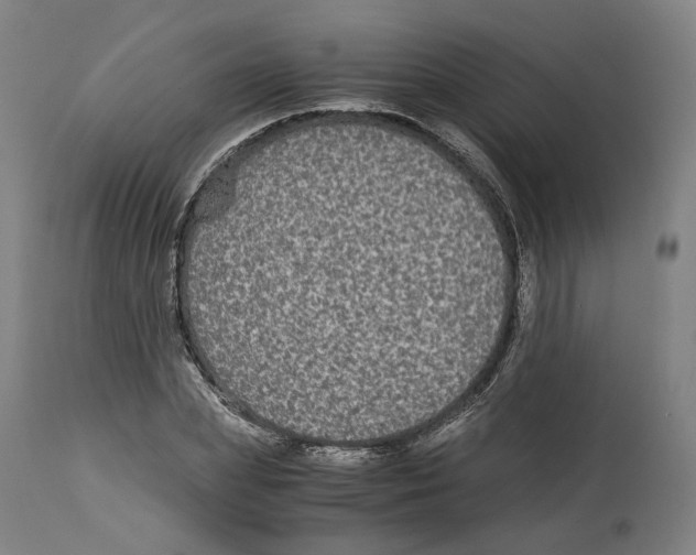 X0000114390831200911131341