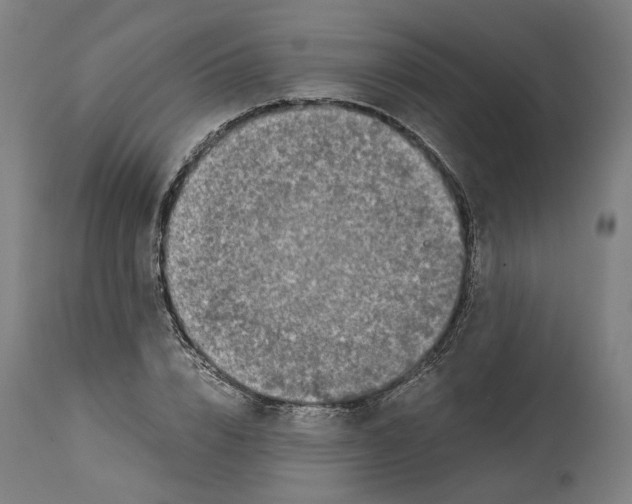 X0000114390832200911131341