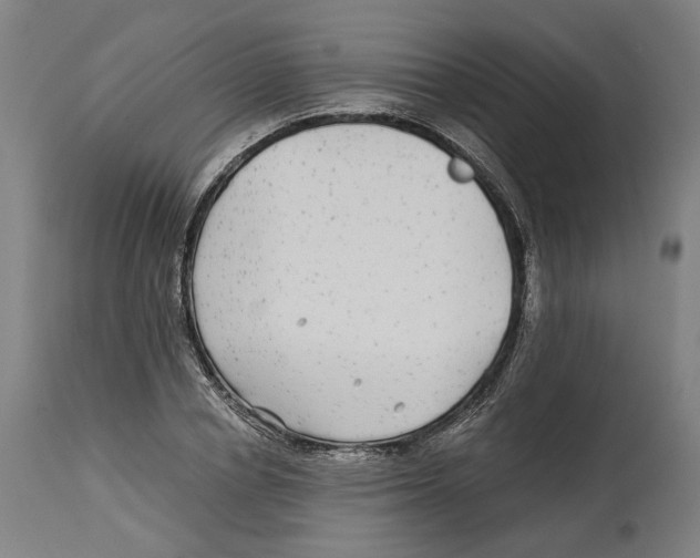 X0000114390834200911131341