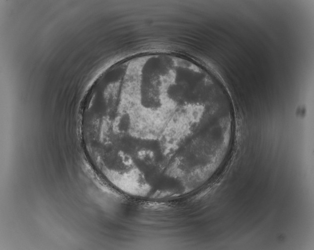 X0000114390835200911131341