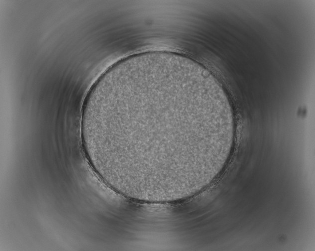 X0000114390836200911131341