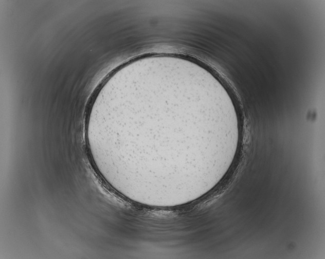 X0000114390837200911131341