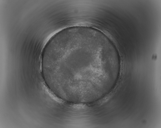 X0000114390838200911131341