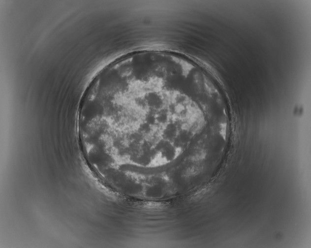 X0000114390839200911131341