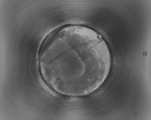 X0000114390840200911131341