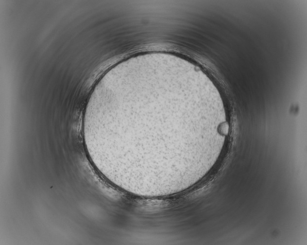 X0000114390841200911131341