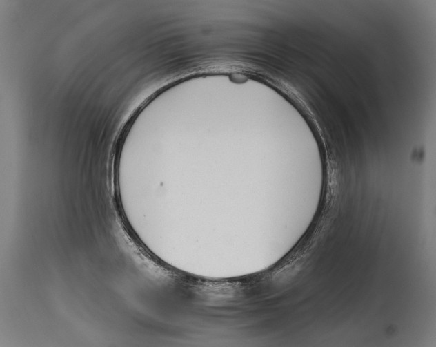 X0000114390843200911131341