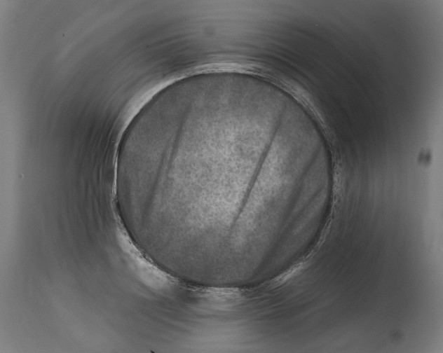 X0000114390844200911131341