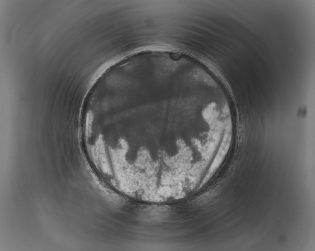 X0000114390845200911131341