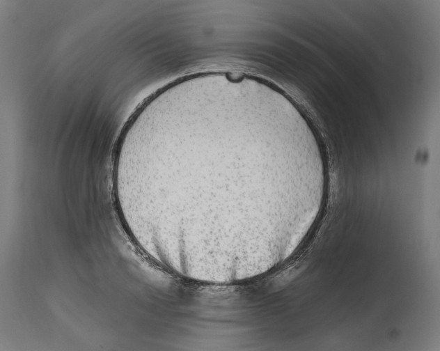 X0000114390846200911131341