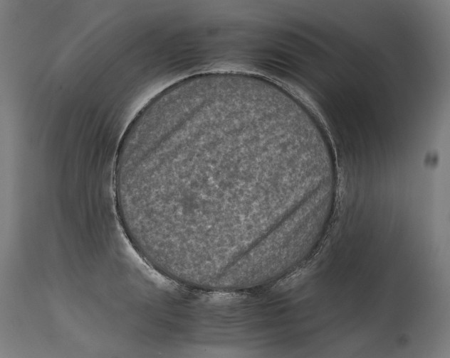 X0000114390847200911131341