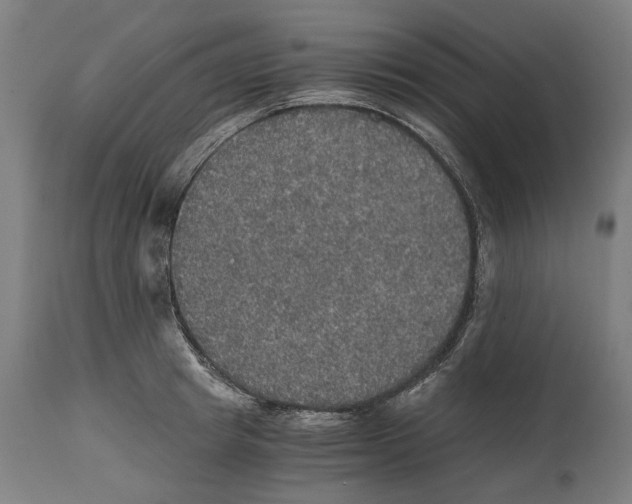 X0000114390849200911131341