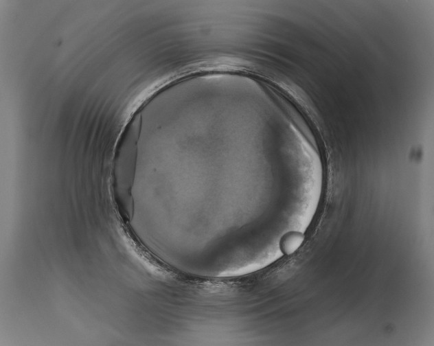 X0000114390850200911131341