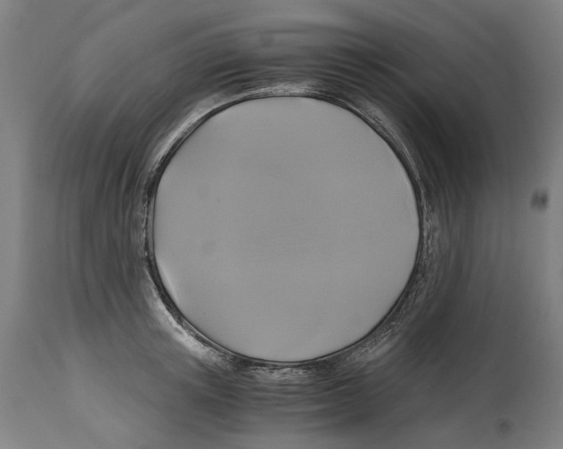 X0000114390851200911131341