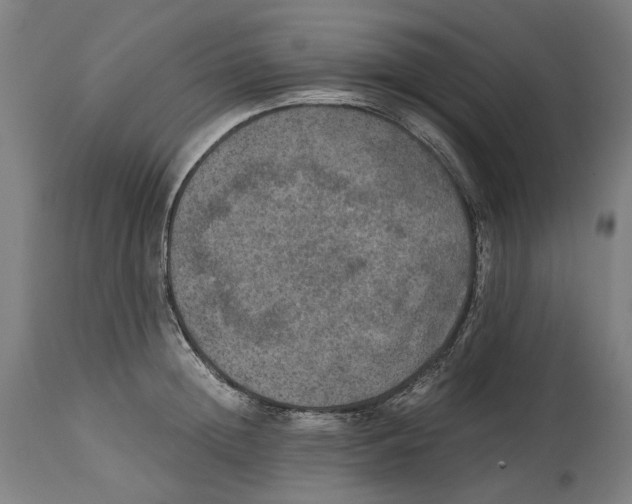 X0000114390852200911131341