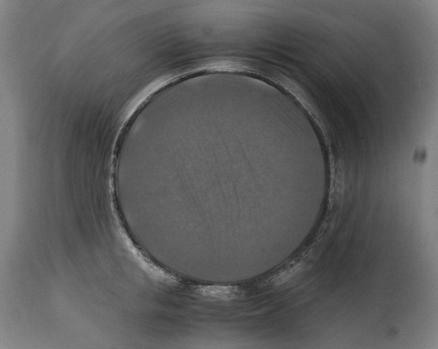 X0000114390853200911131341