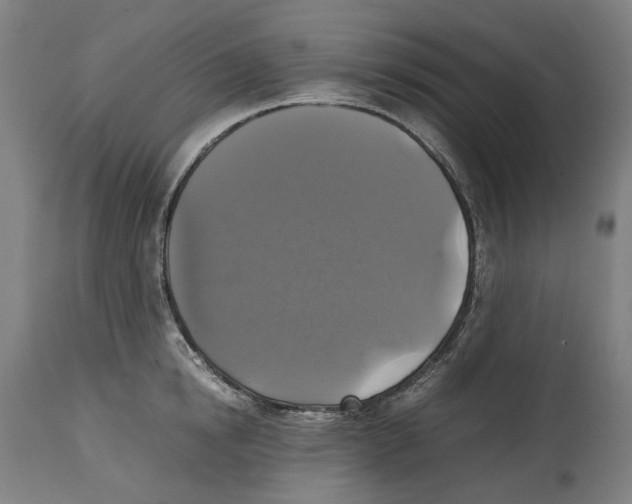 X0000114390854200911131341