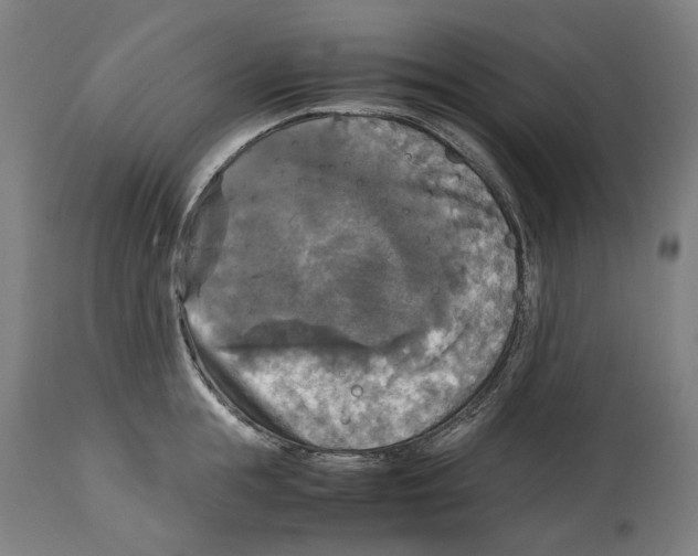 X0000114390855200911131341