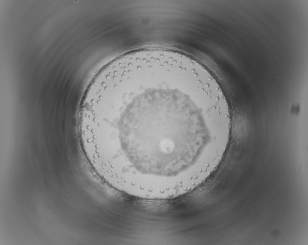 X0000114390856200911131341