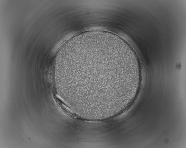 X0000114390857200911131341