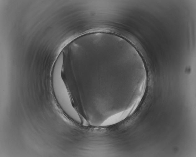 X0000114390858200911131341