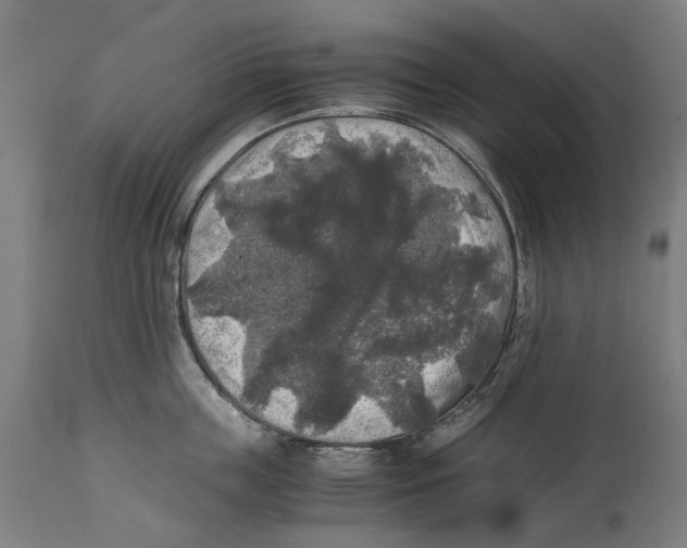 X0000114390859200911131341