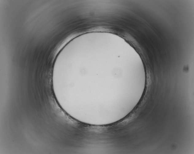 X0000114390860200911131341