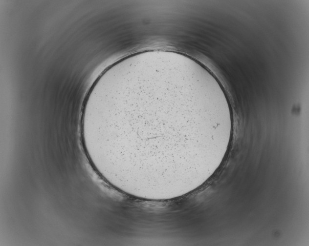 X0000114390861200911131341