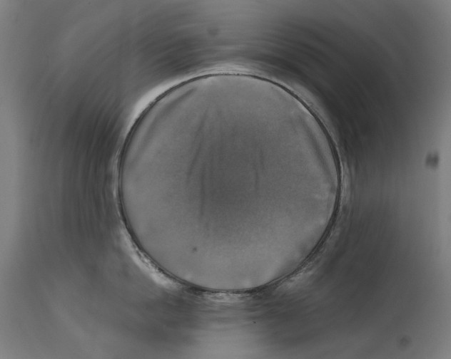 X0000114390862200911131341