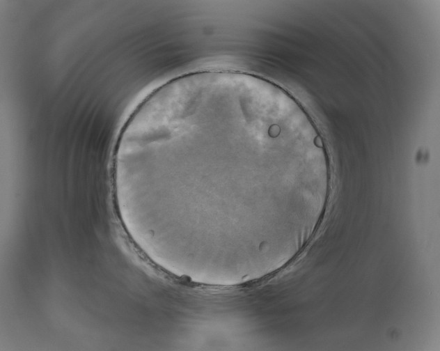 X0000114390864200911131341