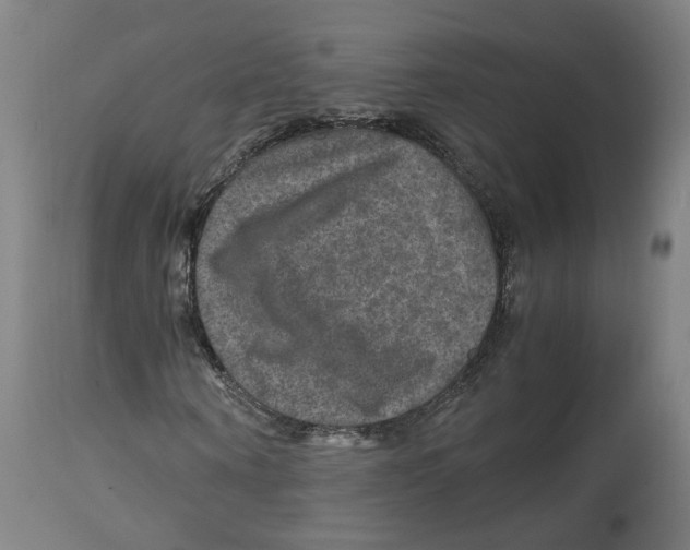 X0000114390866200911131340