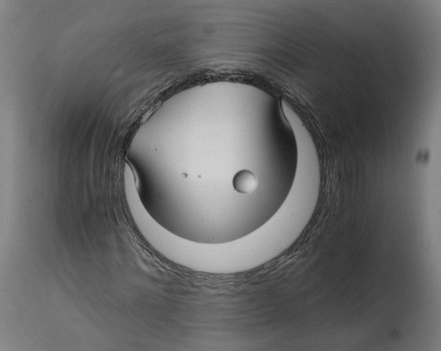 X0000114390868200911131340